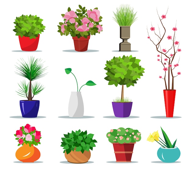 Vettore set di vasi da fiori colorati per casa. vasi da interno per piante e fiori. illustrazione . collezione di vasi da fiori e vasi moderni.