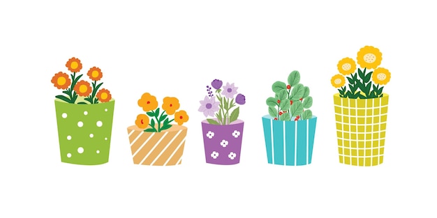 set of colorful flowers in pots hand-drawn vector