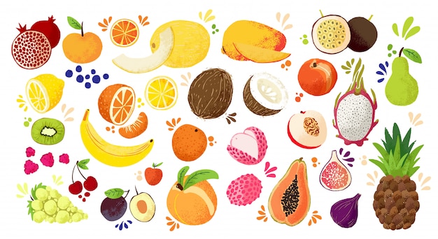 다채로운 손으로 그리는 과일-열 대 달콤한 과일 및 감귤 류 과일 그림의 집합입니다. 사과, 배, 오렌지, 바나나, 파파야, 용 과일 및 기타.