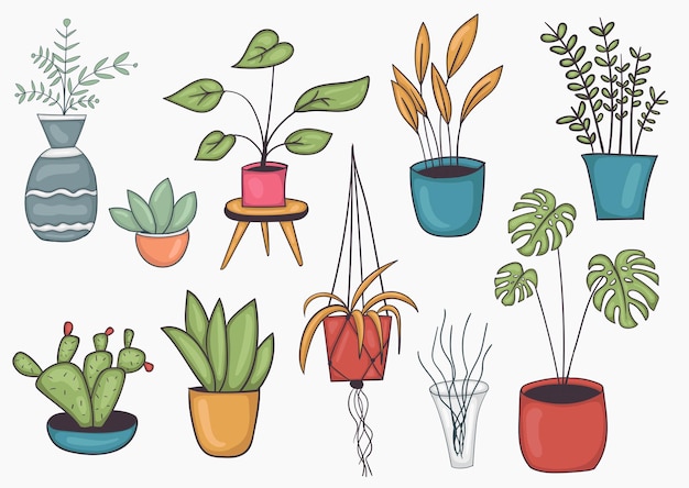 Vector set of colorful hand drawn potted plant illustration