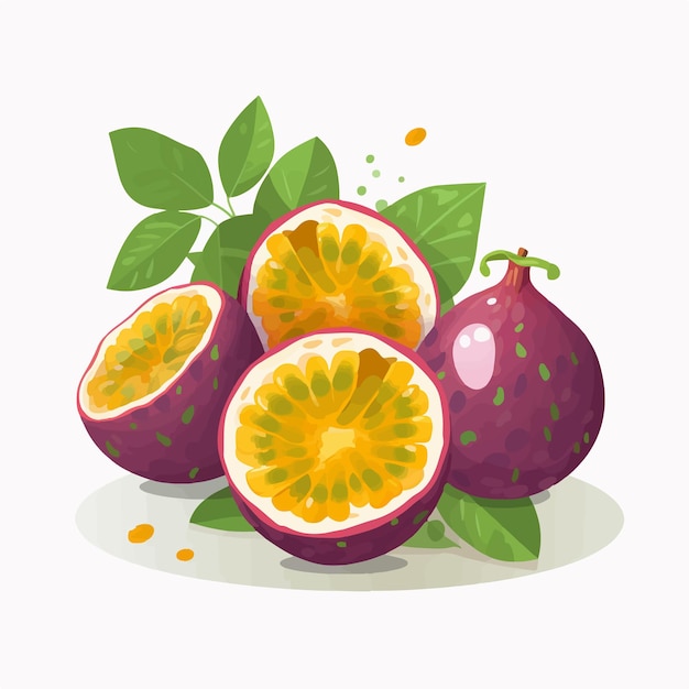 Vector set of colorful passion fruit illustrations