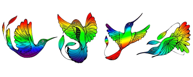 Set di colibri arcobaleno colorati in stile doodle immagine a inchiostro nero su sfondo bianco concetto lgbtq