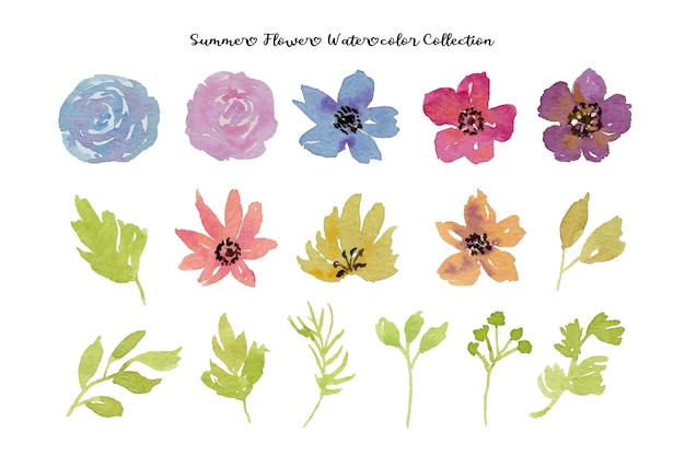 A set of colorful summer flower watercolor illustration
