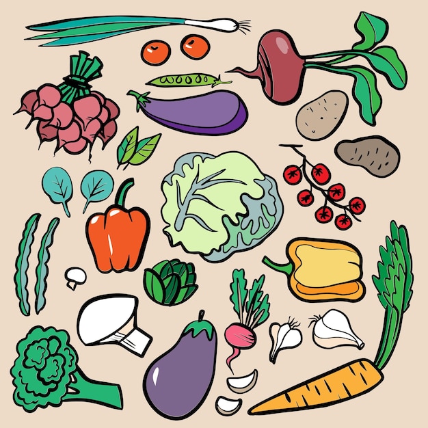 Set of colorful vegetables  for restaurants menus posters and grocery bags