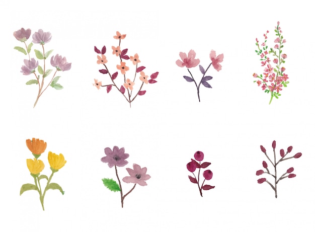 Set of colorful watercolor summer flowers