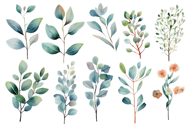 Vector set of colorful watercolor vector leaves