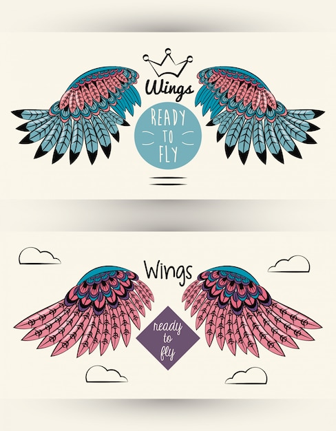 set of colorful wings drawings