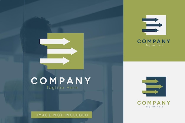 Set of company logo vector design templates with different color styles