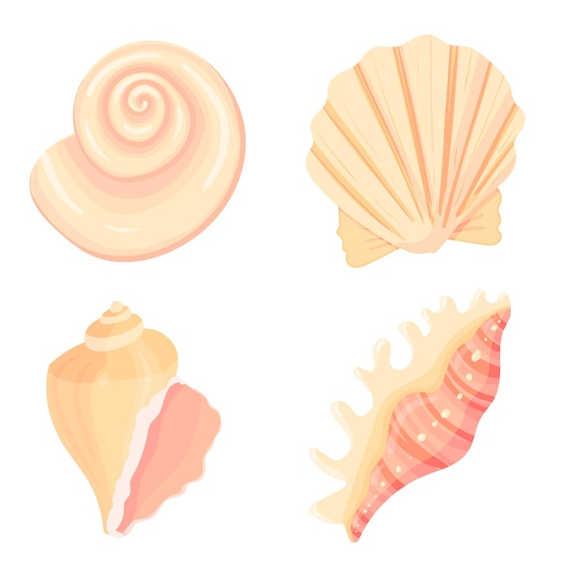 Set di cartoni animati piatti conchiglia illustrazione vettoriale colorato spiaggia tropicale shell icona subacquea natura acquatica collezione di adesivi