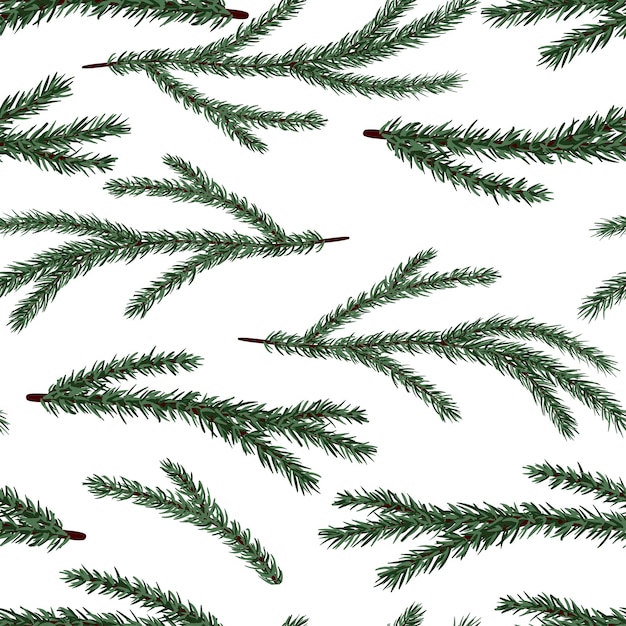 Vector set of conifer branches vector seamless pattern pine spruce cedar larch fir branches winter texture