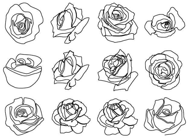 Set di illustrazione vettoriale di un disegno a tratteggio continuo di fiori di rose dal design minimalista