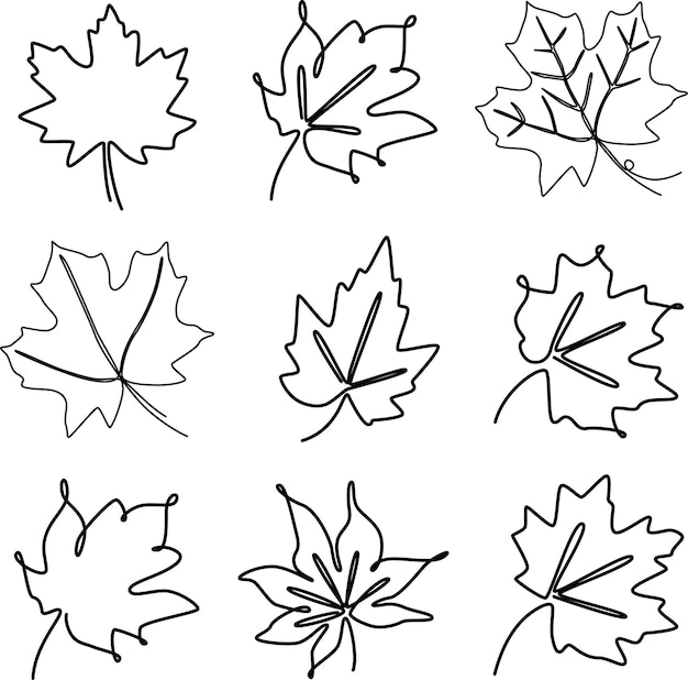 set of continuous one line illustration of maple autumn tree leaf