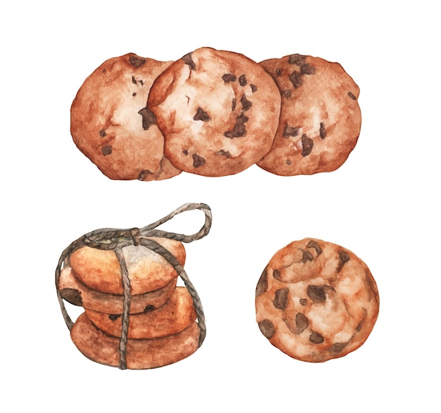 Vector set of cookies with chocolate. watercolor illustration.