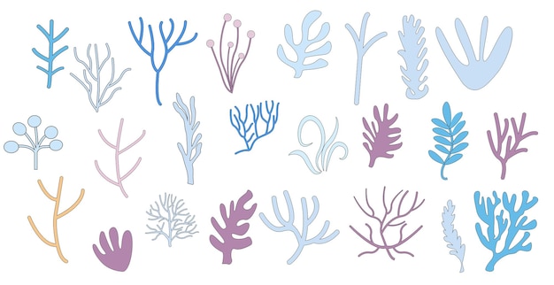 Set corals seaweed silhouette marine plant elements isolated vector decorative elements isolated ill