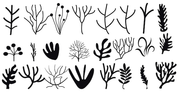 Vector set corals seaweed silhouette marine plant elements isolated vector decorative elements isolated ill