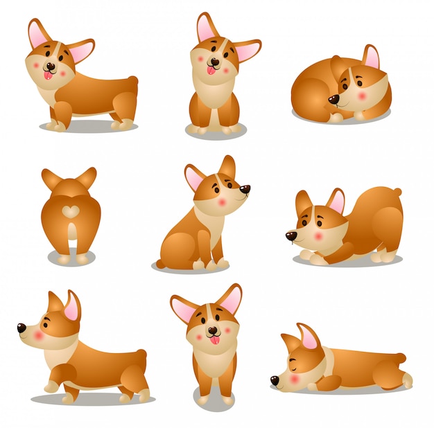 Set di caratteri di cane corgi in diverse situazioni quotidiane