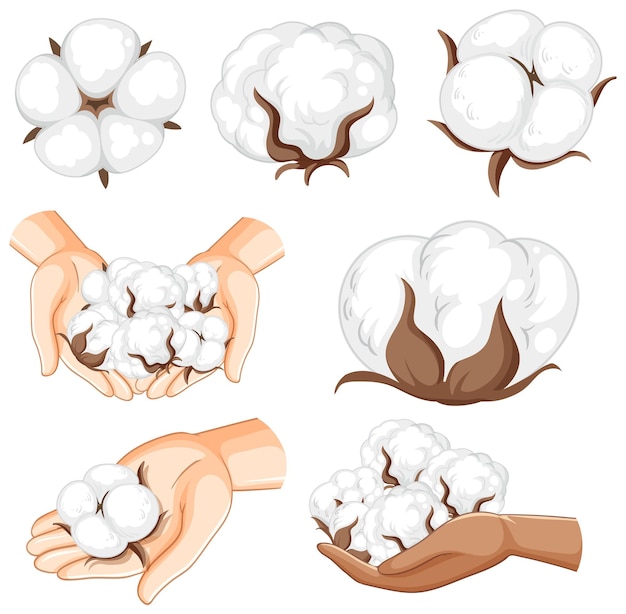 Set of cotton isolated cartoon