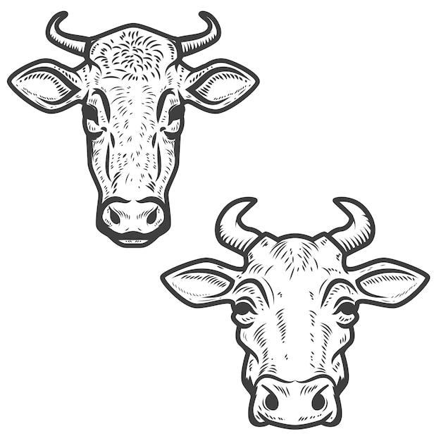 Set of cow heads on white
