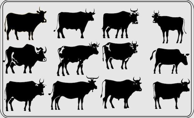 Set of cows Black silhouette cow isolated on white Hand drawn vector illustration design