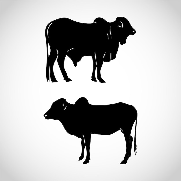 Set of cows Black silhouette cow isolated on white