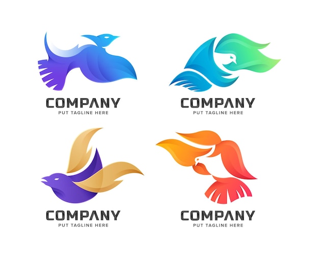 Set di modelli di logo di volo di uccelli colorati creativi