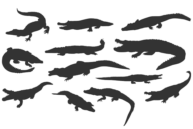 Set of crocodile silhouette reptile alligator predator