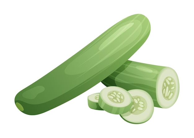 Set of cucumber whole half and cut slice illustration isolated on white background