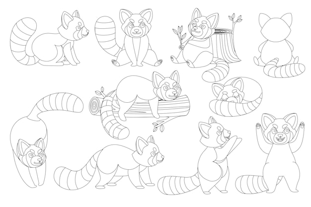 Set of cute adorable red panda in different poses cartoon design animal character flat vector style illustration on white background outline style.