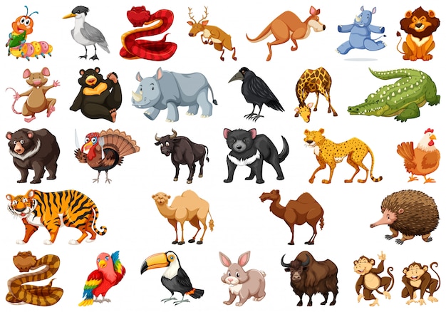Set of cute animals