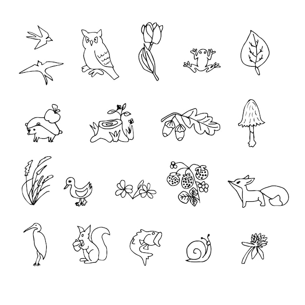 Set of cute autumn cartoon characters plants and fruits Fall season Forest animals Collection of doodle outline elements