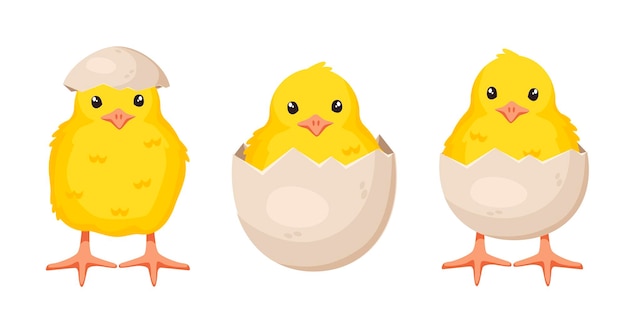 Set of cute baby chickens in different poses for easter design isolated on white background