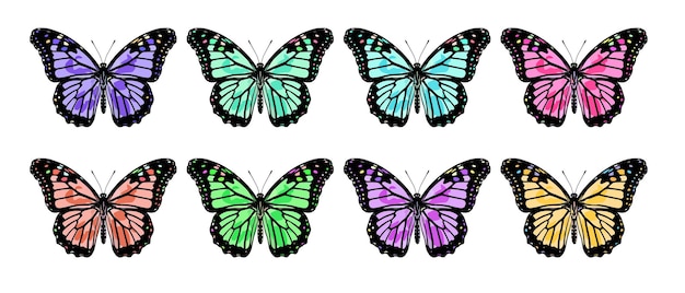 Set carina farfalla boho con bellissime ali farfalla estiva illustrazione di insetto vettoriale isolata