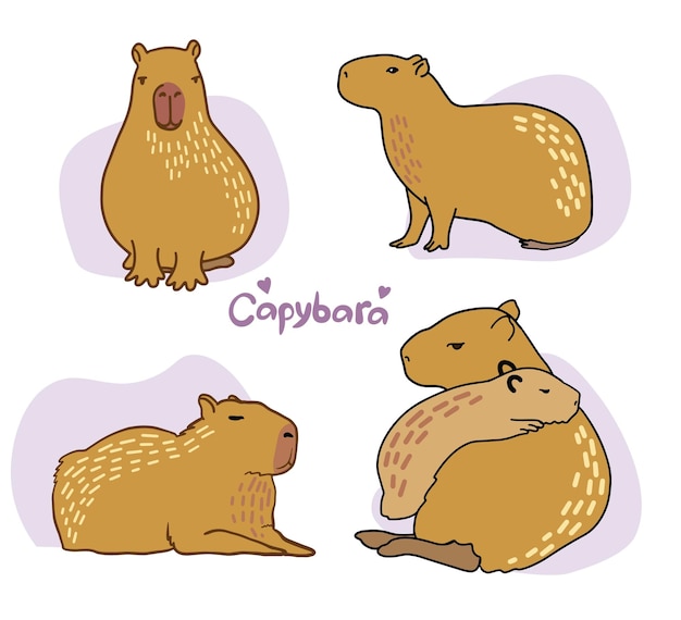 Vector set of cute capybara vector color illustration of capybara drawing of an animal in cartoon style