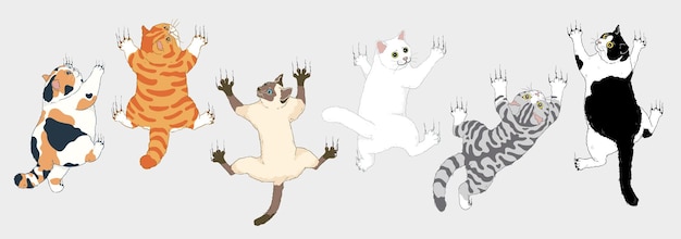 Vettore set di gatti simpatici cartoni animati che si arrampicano su un muro con le zampe anteriori allungate calico orange siamese