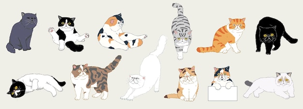 Vector set of cute cartoon exotic shorthair cats with different colored fur and type of coat breeds