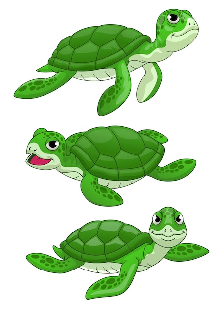 Set di tartaruga simpatico cartone animato