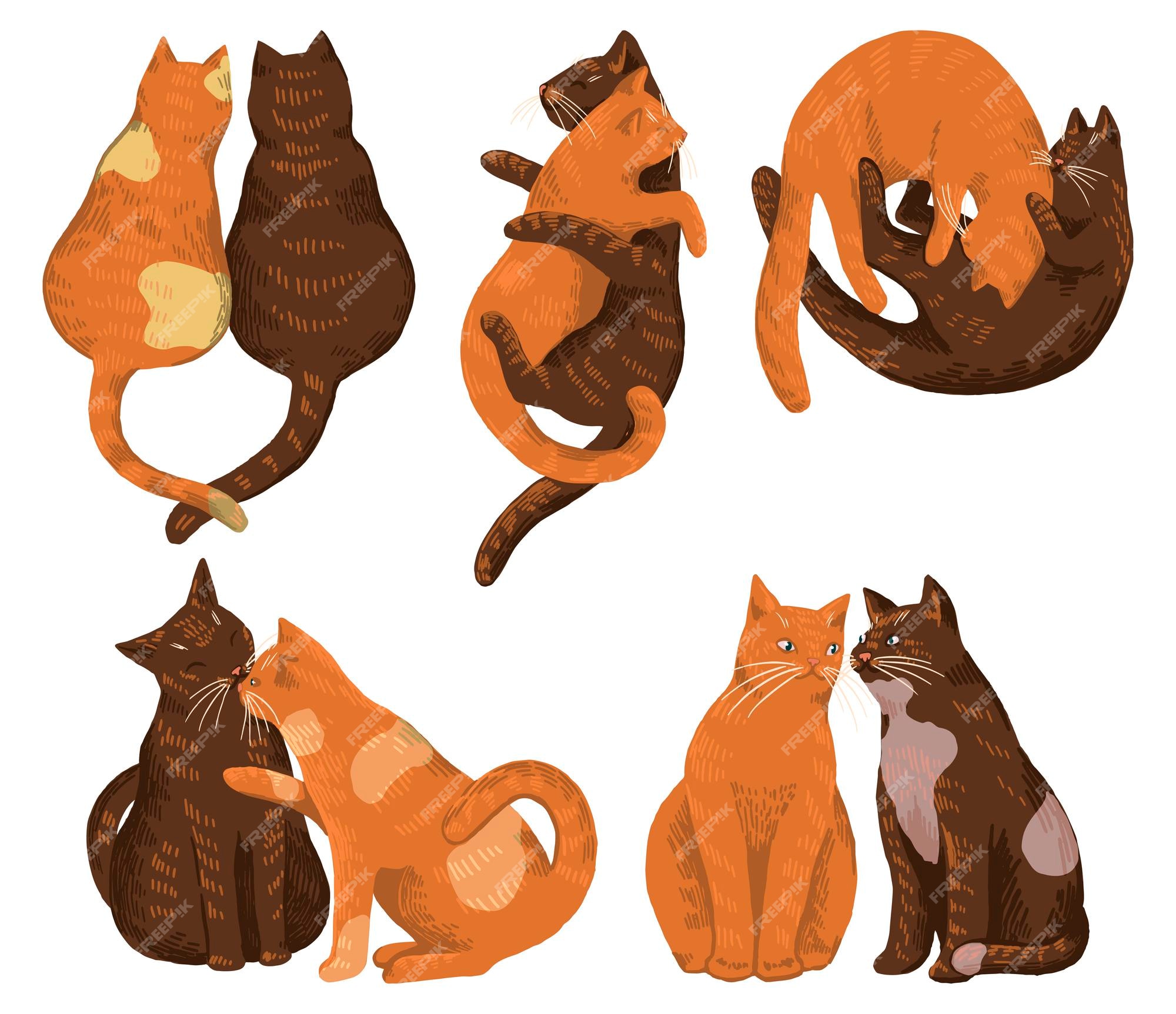 Premium Vector | Set of cute cat couples in love. hand drawn vector illustration. romantic animal collection. st. valentine's holiday elements. cartoon drawings isolated on white. Premium Vector | Set of cute cat couples in love. hand drawn vector illustration. romantic animal collection. st. valentine's holiday elements. cartoon drawings isolated on white.