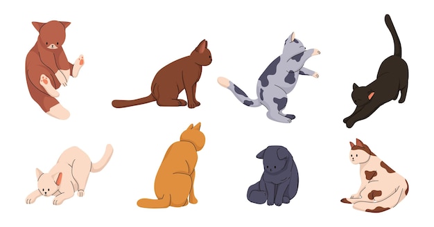 可愛い猫のセット