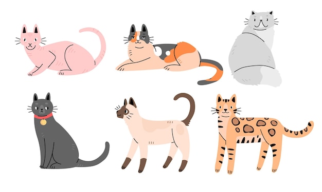 Vector set of cute cats of different breeds in flat cartoon style collection of characters of cats