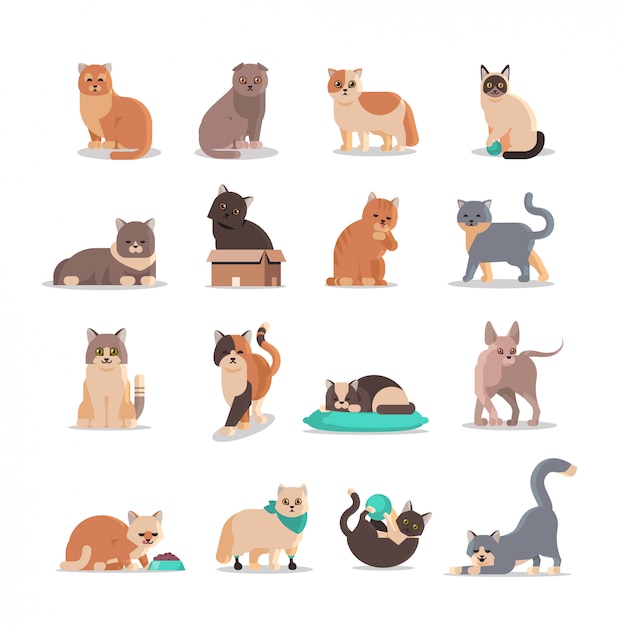 Set cute cats in different poses fluffy adorable cartoon animals domestic kitty home pets concept flat full length