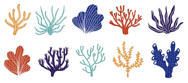 a set of cute coral and seaweed clip art