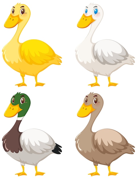 Set of cute duck cartoon