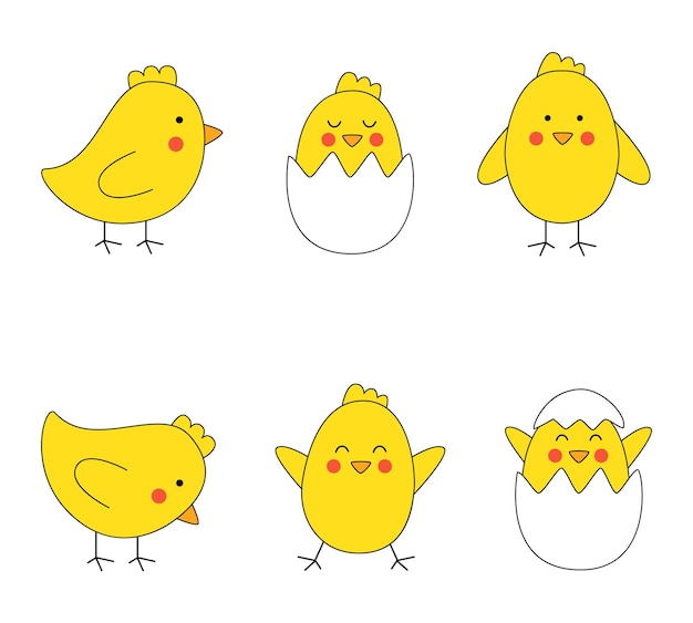 Vector set of cute easter chickens in cartoon style on white background.