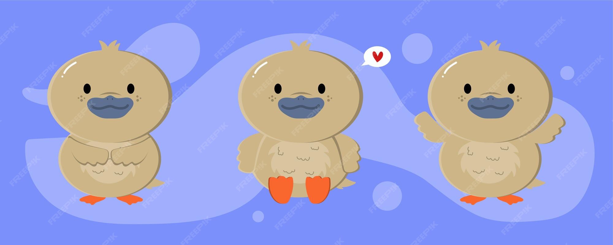 Premium Vector | Set of cute female mallard duck