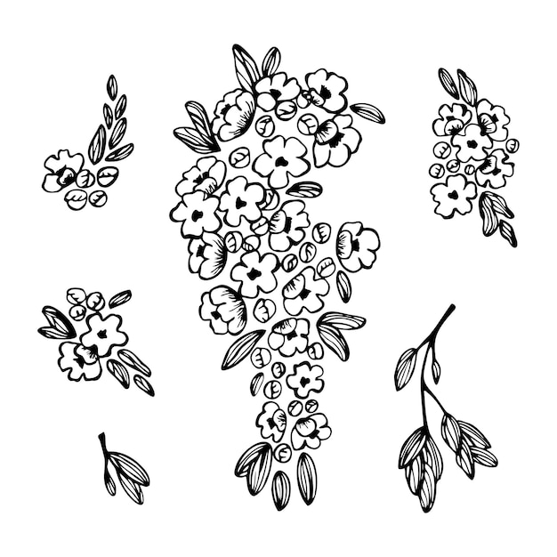 Set of cute hand drawn elements blooming branches of a fruit tree apple or pear