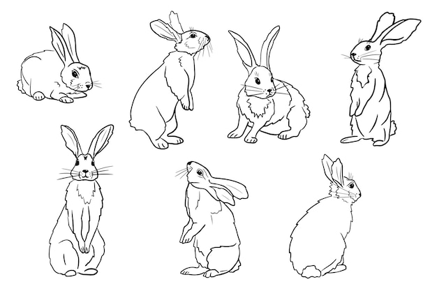 Vector set of cute hand drawn outline rabbits