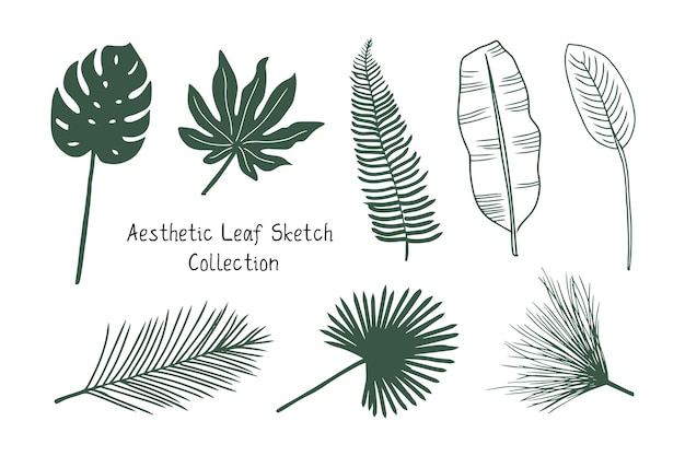 a set of cute hand drawn summer tropical leaf sketch