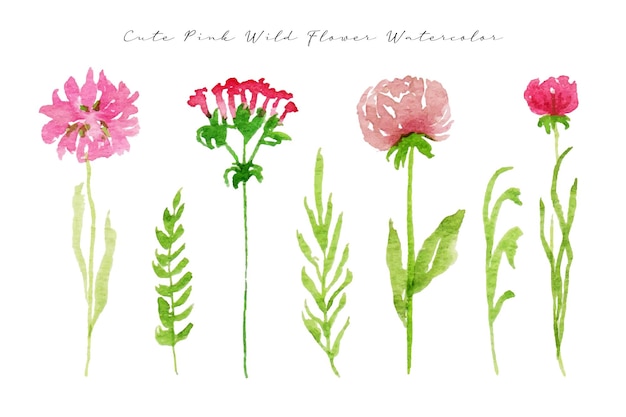 a set of cute hand painted pink wild flower and leaf watercolor