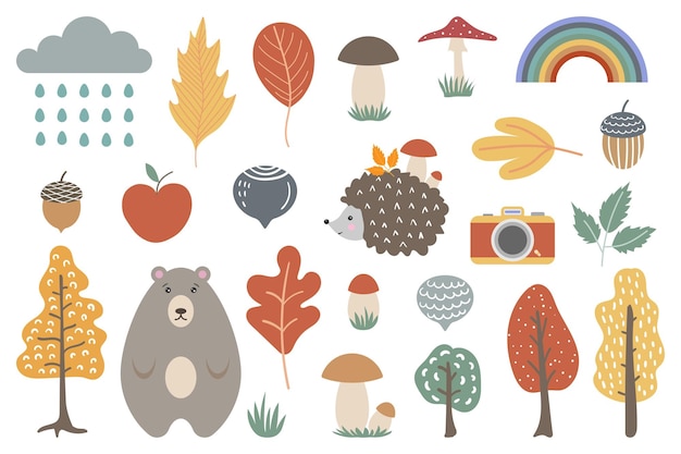 A set of cute illustrations on the theme of the autumn forest