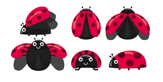 Set coccinella carina in diverse pose. collezione di adesivi con coleotteri volanti punteggiati, illustrazione per bambini. stile cartone animato.